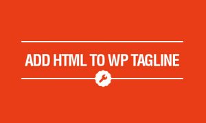 How to add HTML to the wordpress tagline